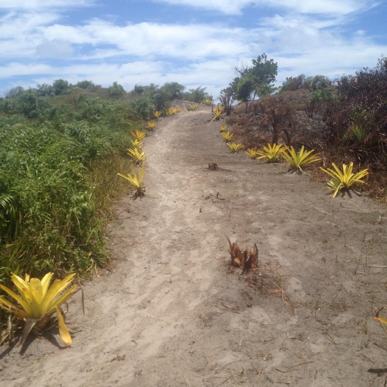 Pousada Acuipe Olivenca Luaran gambar